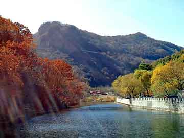 新澳天天开好彩资料大全，佛山至山东物流